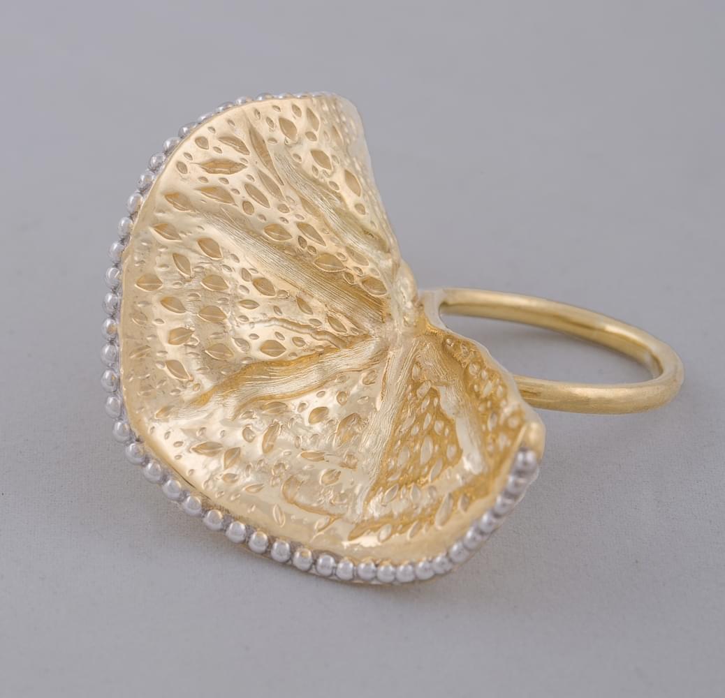 Indian Institute of Gems & Jewellery Mumbai Student Jewellery photo 32